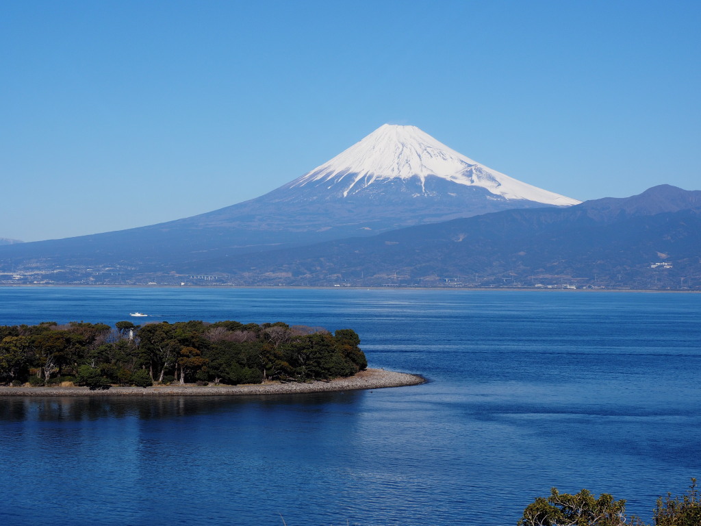 1/18 �吣�肩��̕x�m�R