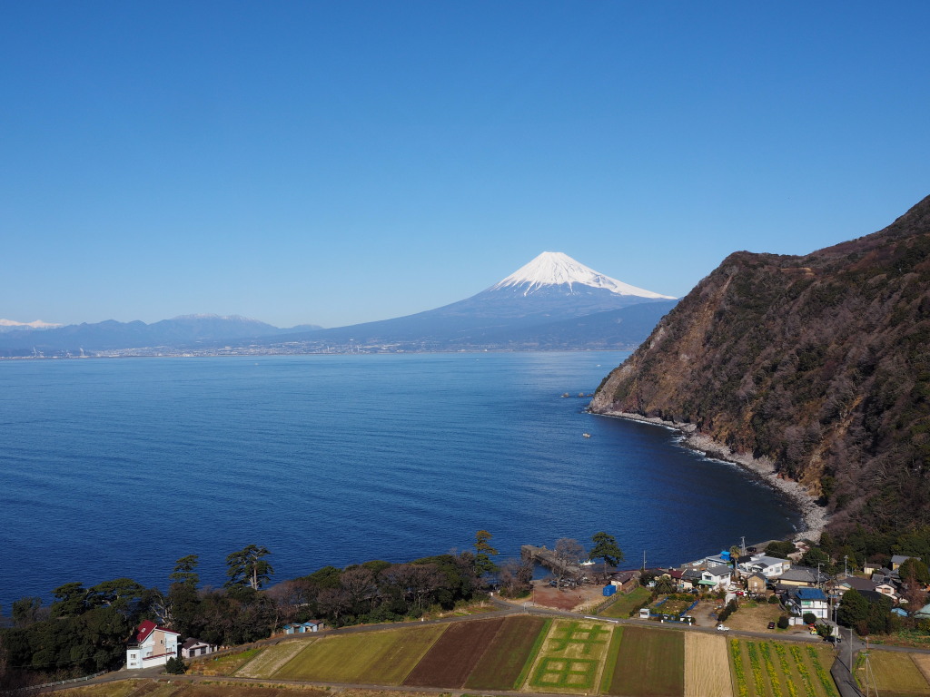 1/18 ���߂��̋u����̕x�m�R