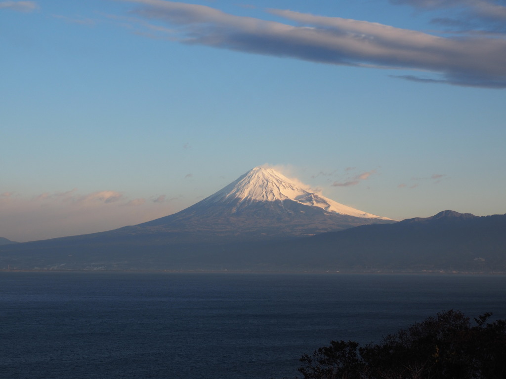 1/19 ��u�̕x�m�R