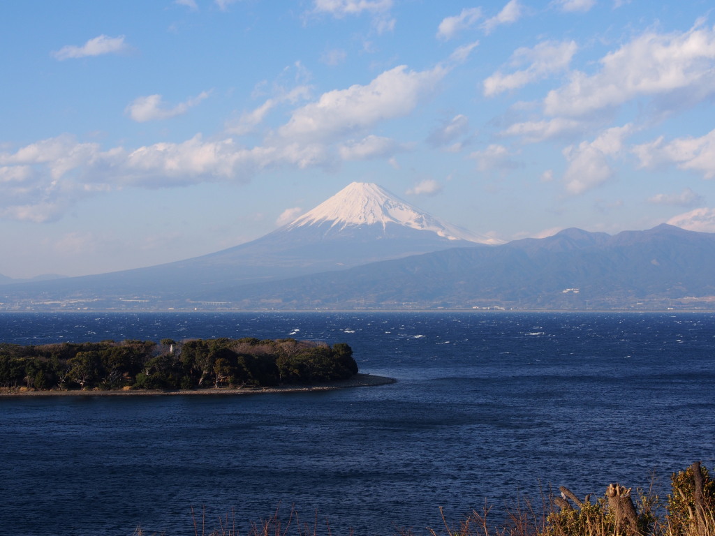 1/19 �吣�肩��̕x�m�R