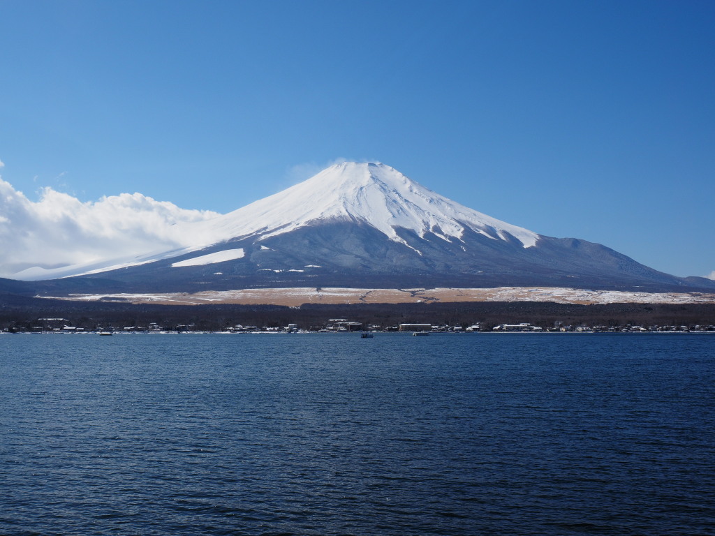 2/6 ���r����̕x�m�R