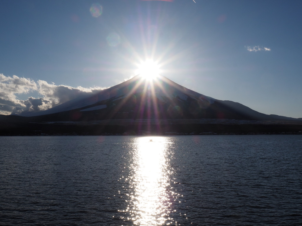 2/6 �_�C�������h�x�m