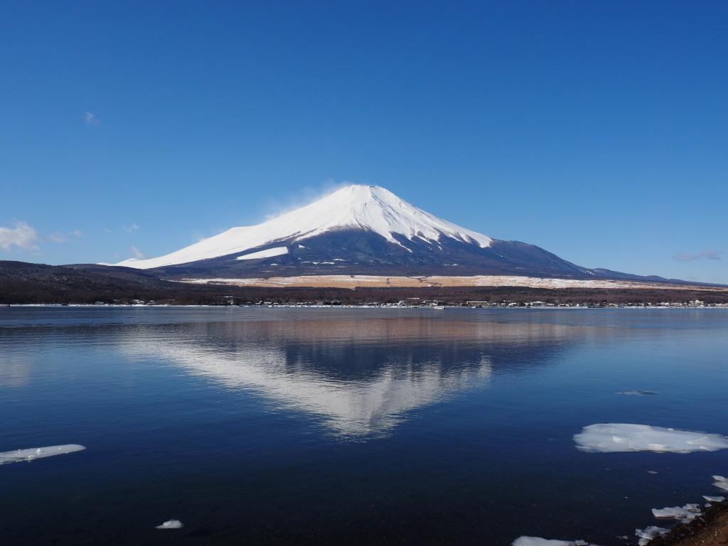 2/10 ���r�̋t���x�m