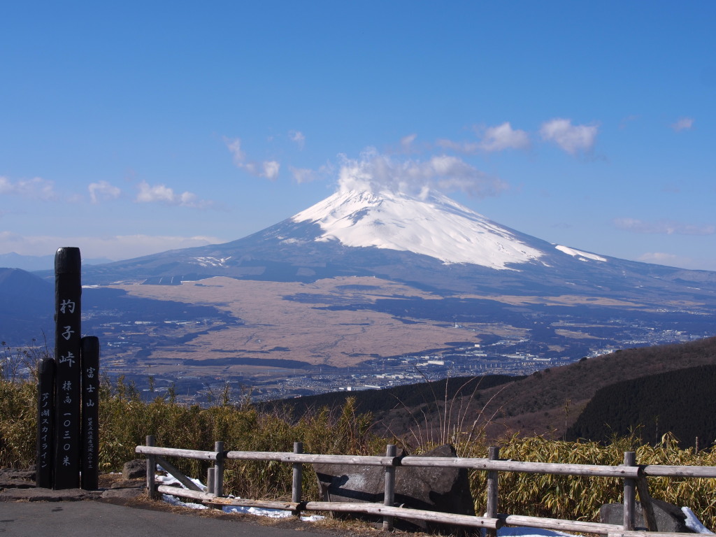 2/14 �ێq������̕x�m�R