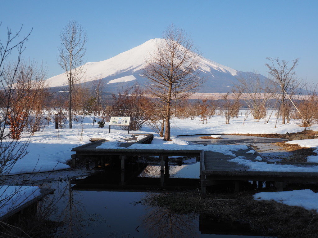 2/15 �ؓ����̋t���x�m