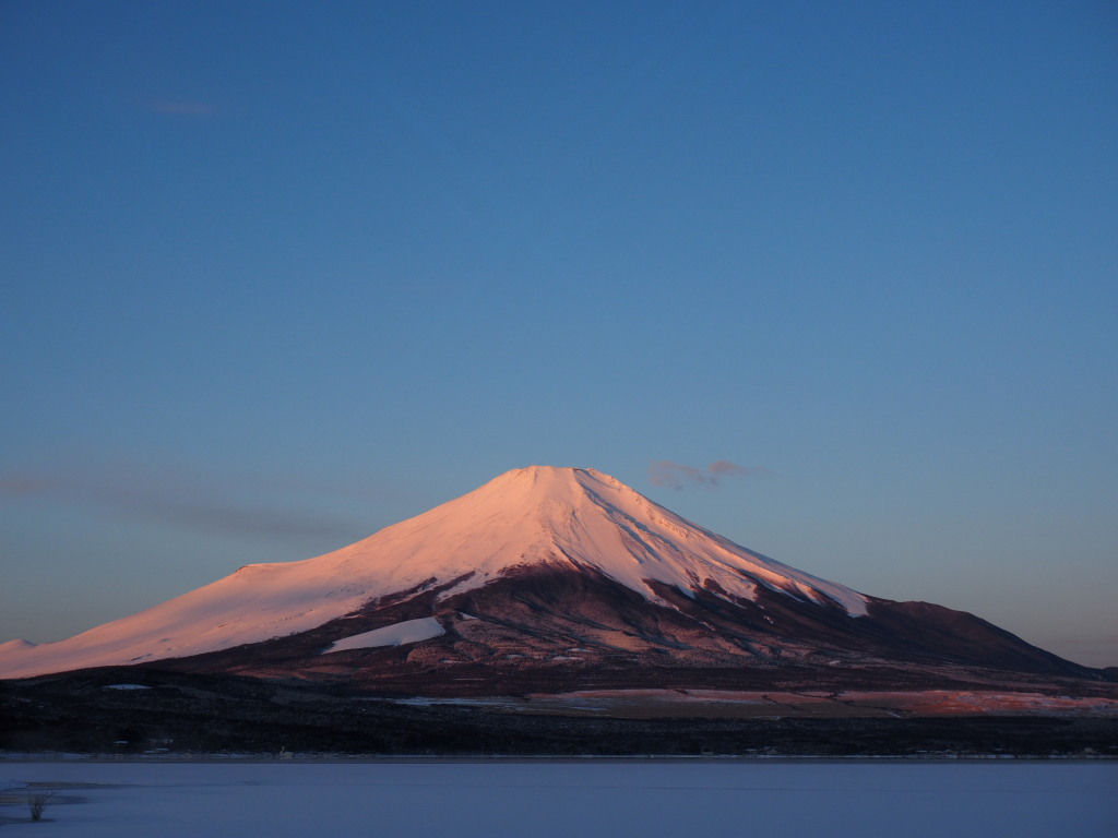 2/19 �ق�̂�g�x�m