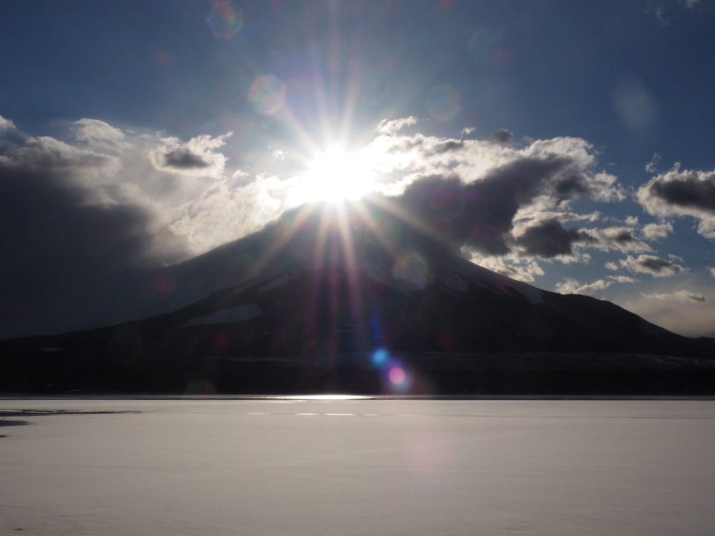 2/19 �_�̒��̃_�C�����ǂ�