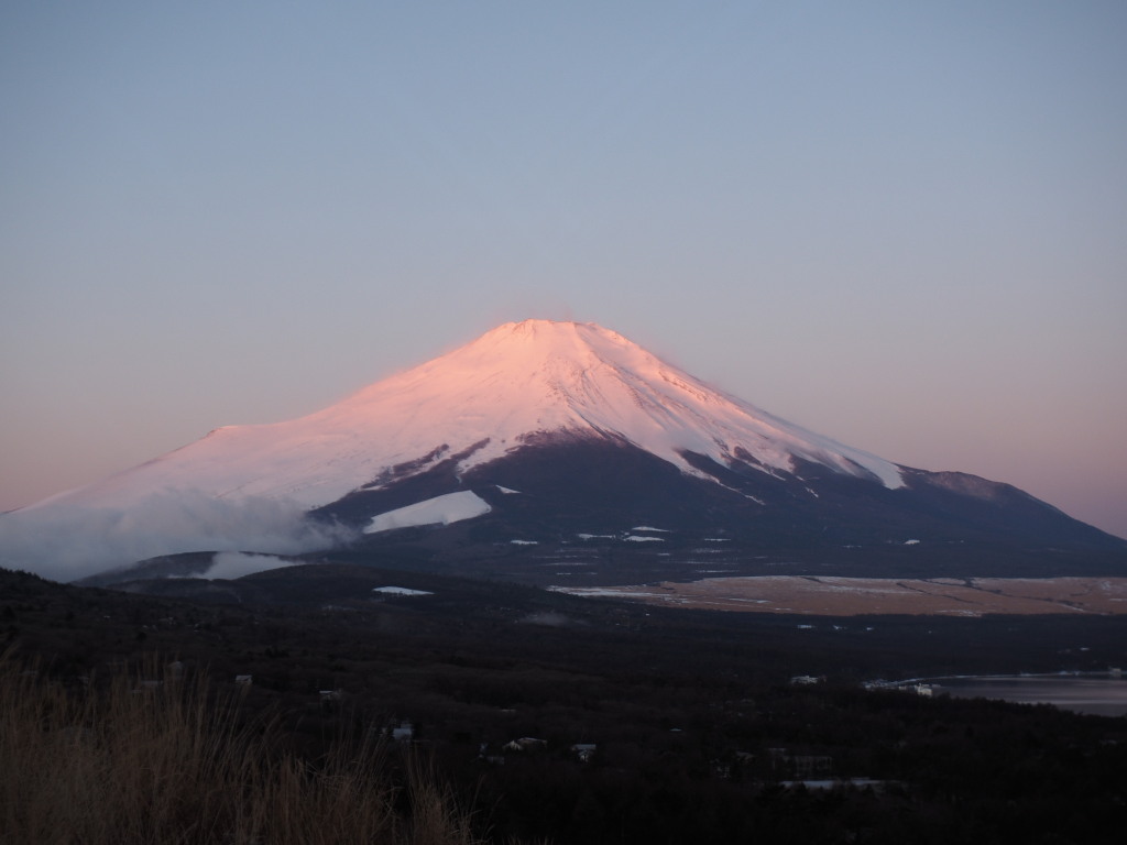 2/27 �ق�̂�g�x�m