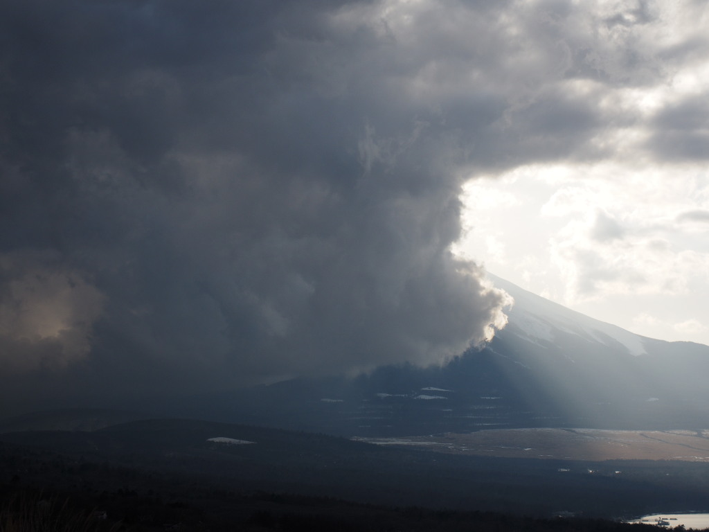 2/27 �_�̒��̃_�C��