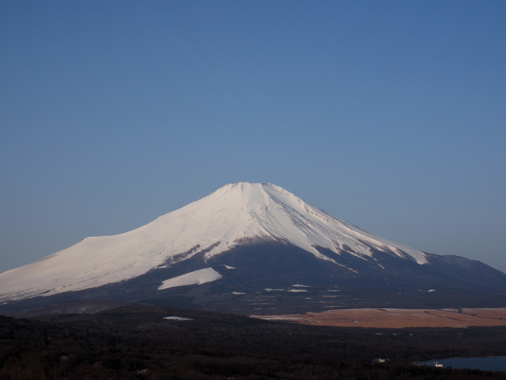 2/28 �~�̕x�m�R