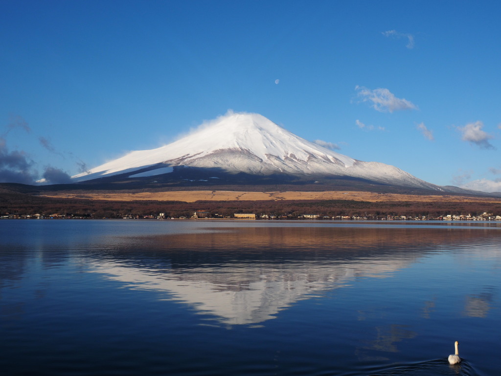 3/10 ���r����̋t���x�m