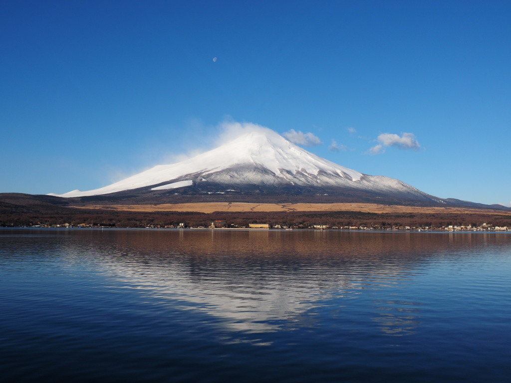 3/11 �t���x�m