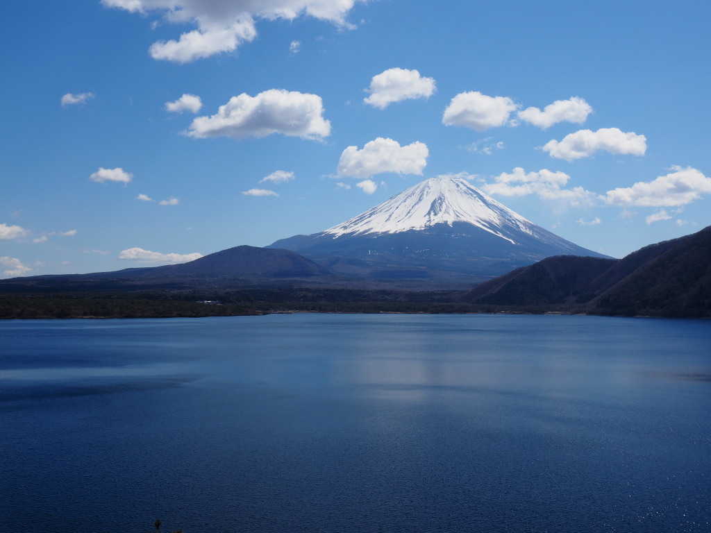 3/24 �_�ƕx�m�R