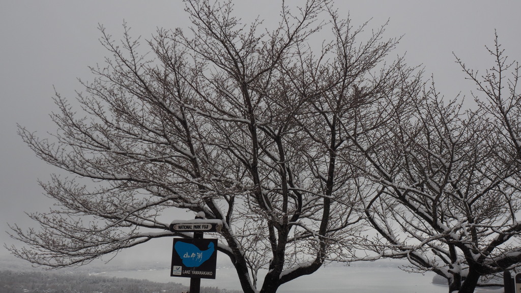 4/08 �l���̎��X