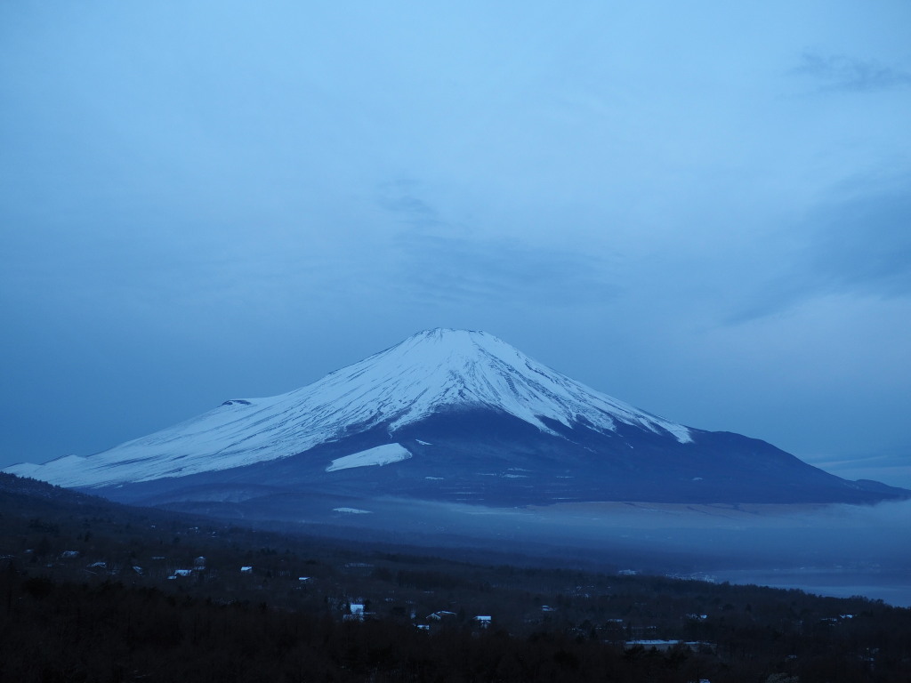 4/10 �����n�߂��x�m�R