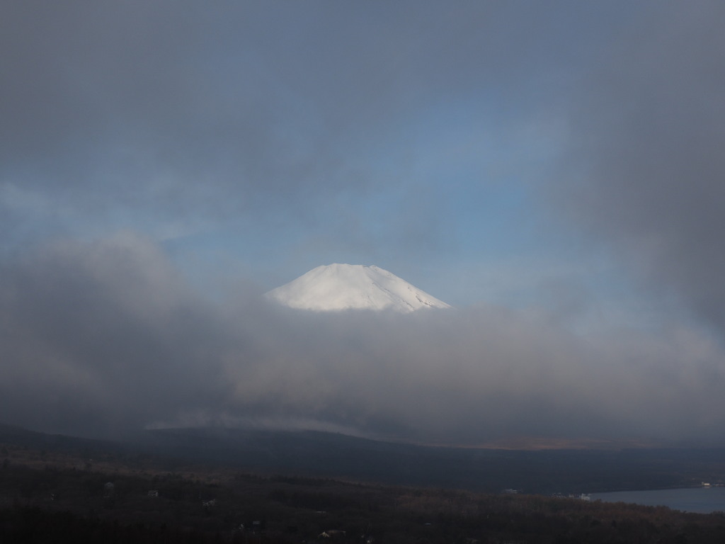 4/12 �_�̒��̕x�m�R