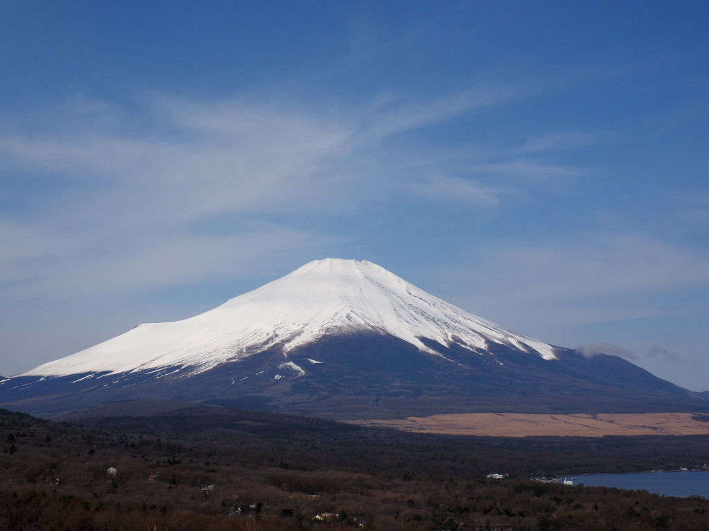 4/12 ���_�̕x�m�R