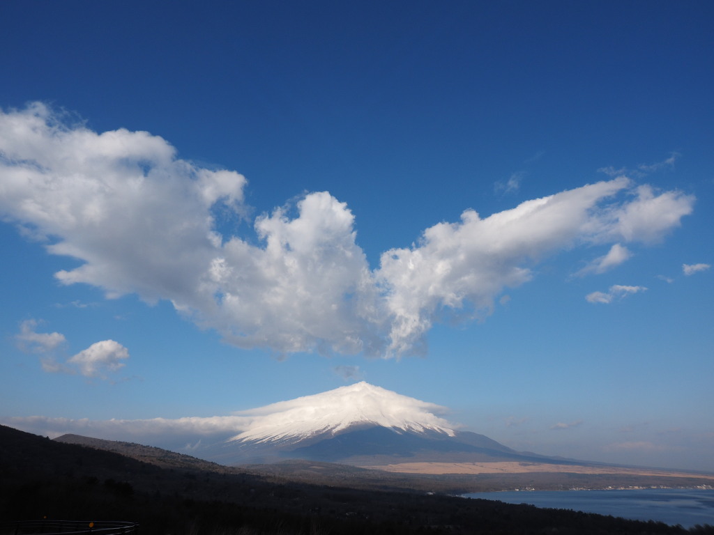 4/17 �邵�_�ƕx�m�R(2)