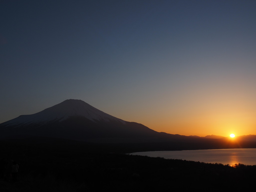 4/17 ���̓���̕x�m�R