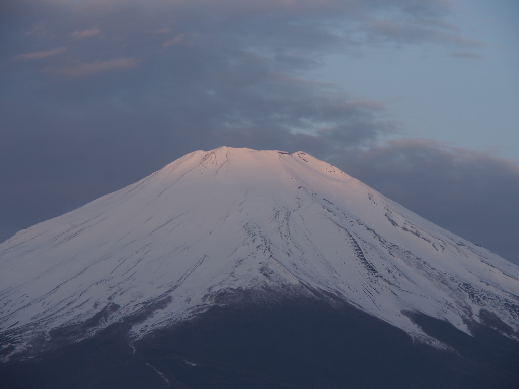 4/19 �R������