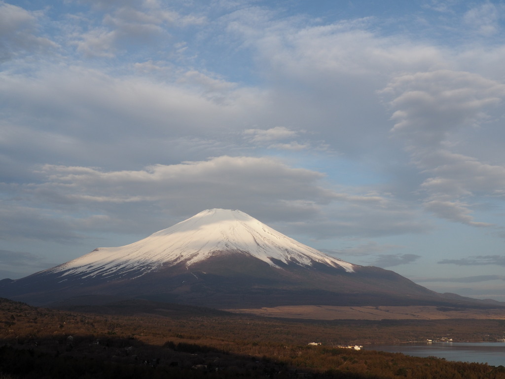 4/19 �_�ƕx�m�R(2)