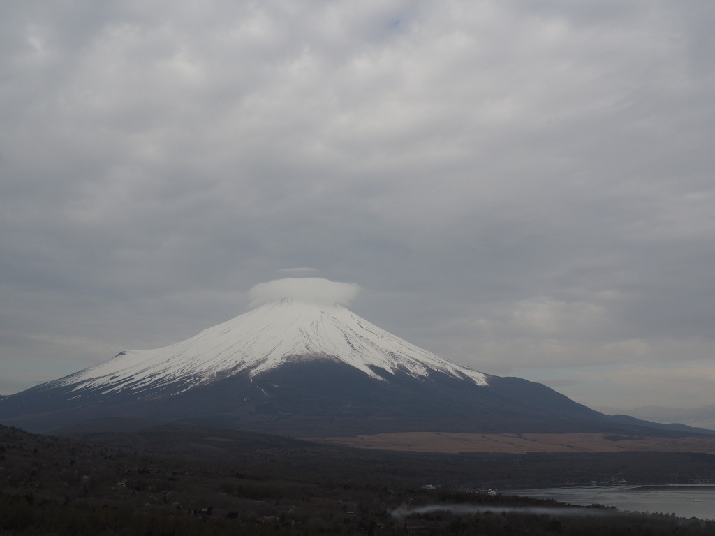 4/19 �P�_�ƕx�m�R