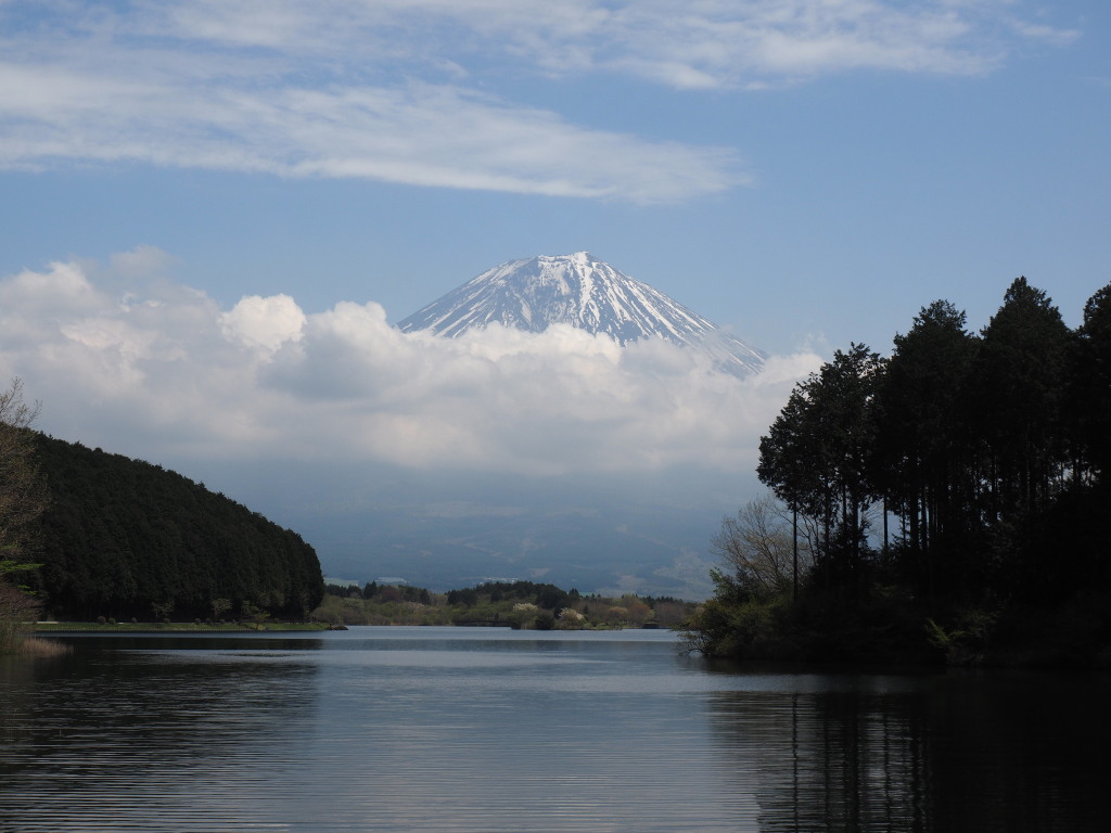 4/22 �x�ɑ�����̕x�m�R