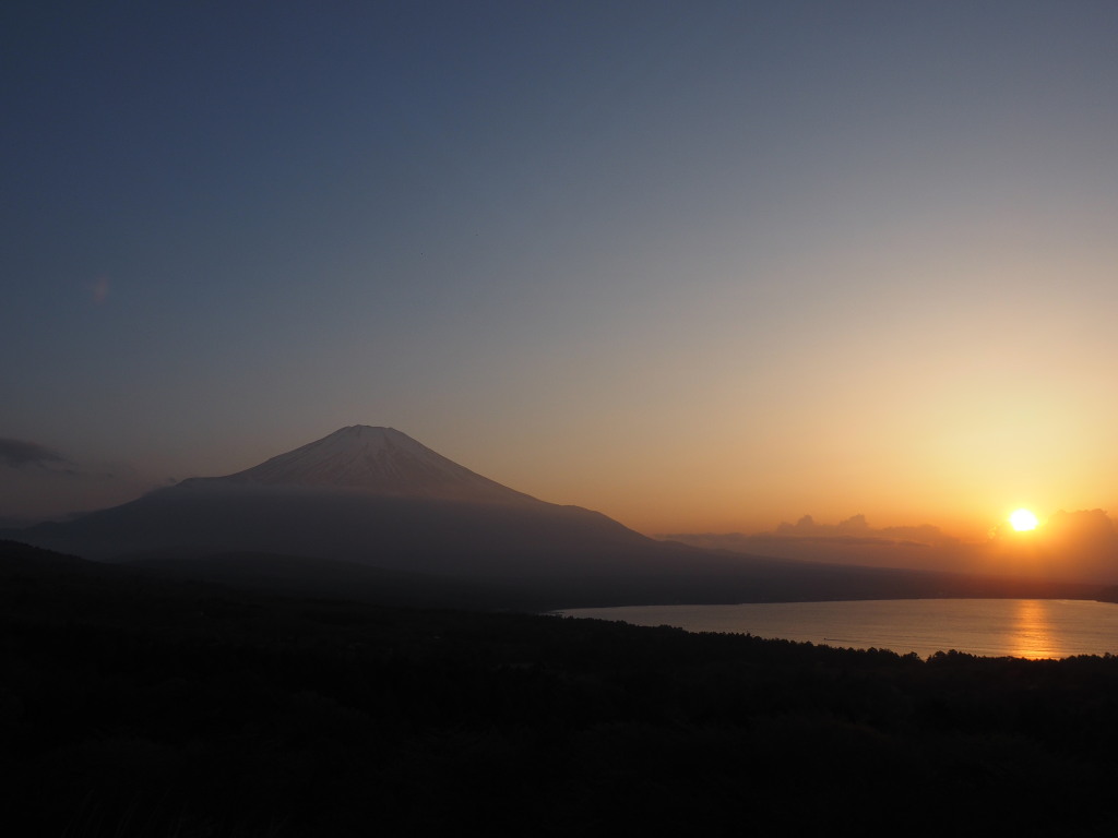 5/5 �[�Ă��̕x�m�R