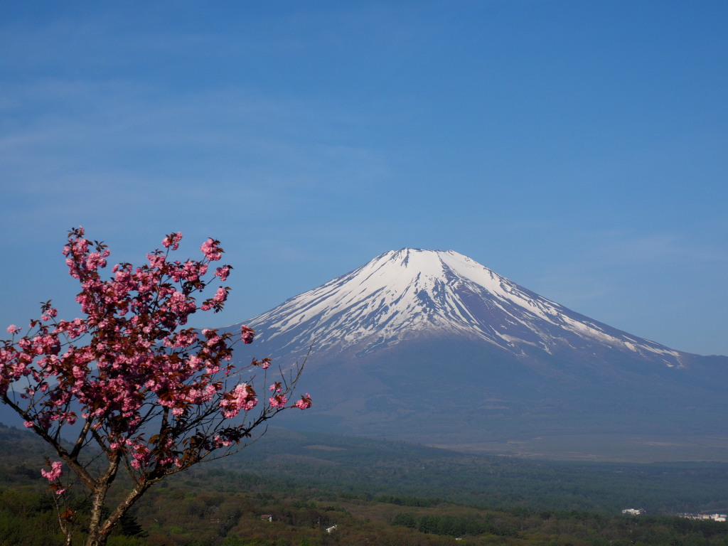 5/6 ���d���ƕx�m�R