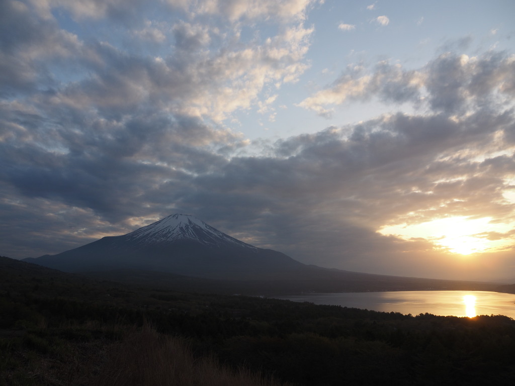 5/7  �[�Ă��̕x�m�R