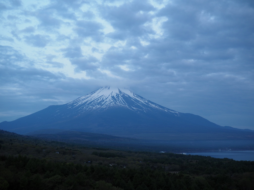 5/8  �_�ɑj�܂ꂽ���Ă��̕x�m�R