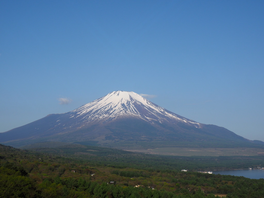 5/8  �s�[�J���̕x�m�R