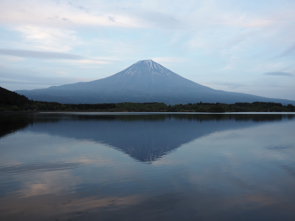 5/11 �c�ь΂���̋t���x�m