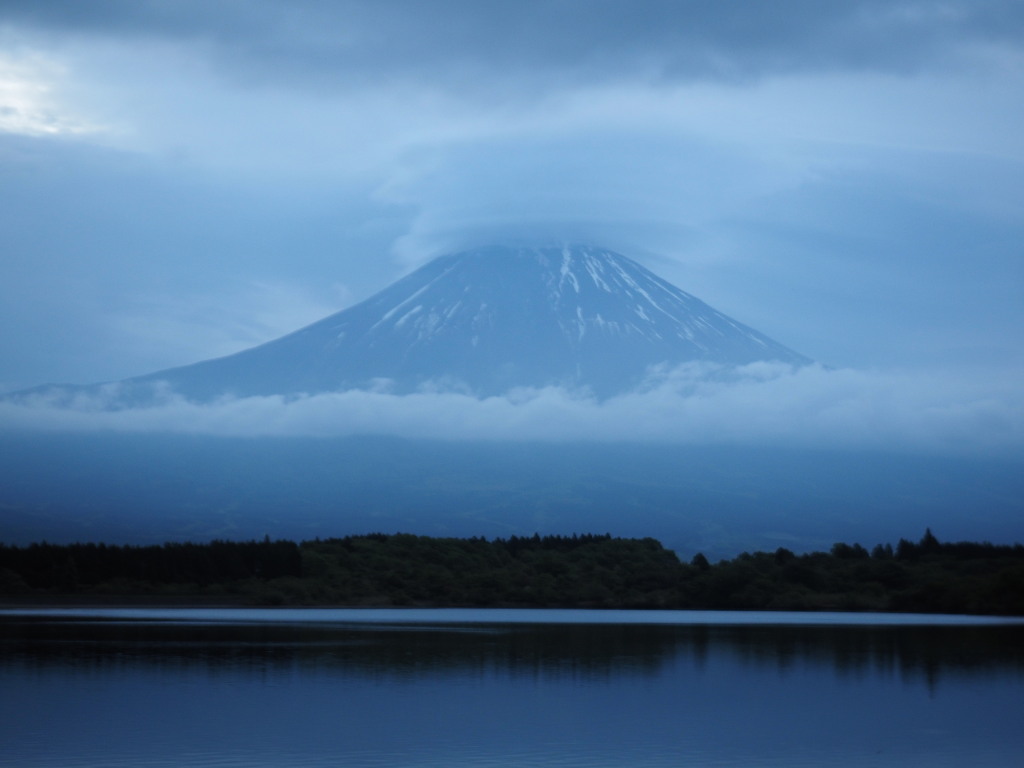 5/12 ��������P�_