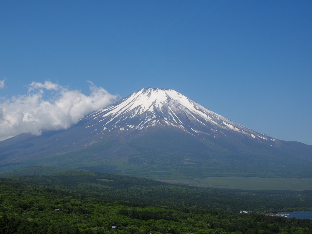 5/21 ��������̕x�m�R