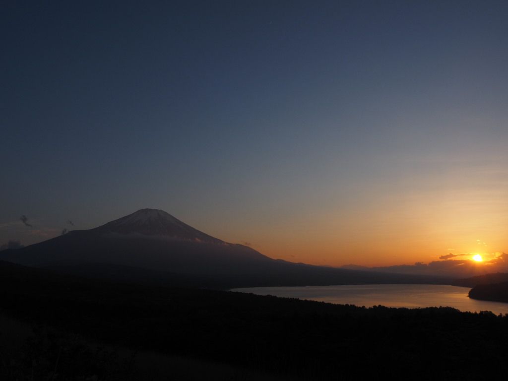 5/21 ���̓���̕x�m�R