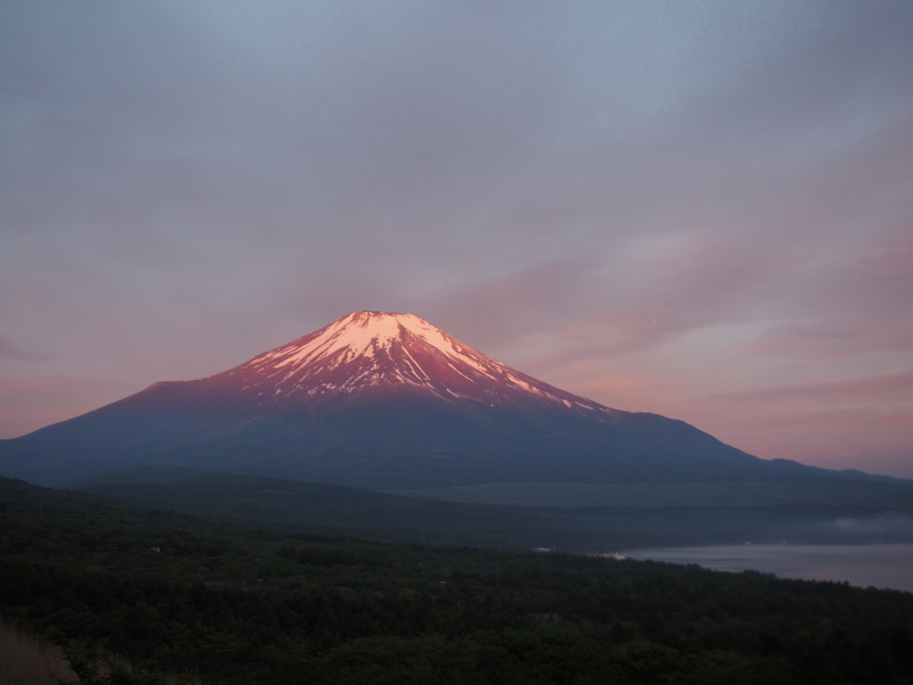 5/22 �_�̍g�x�m