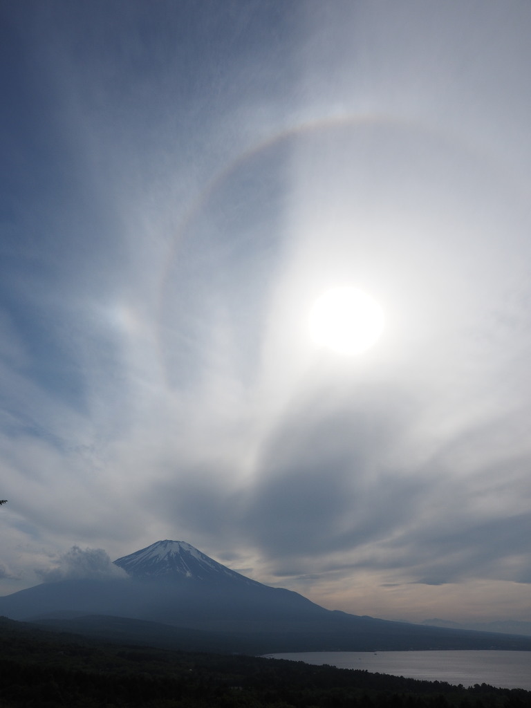 5/22 �x�m�R���̓���