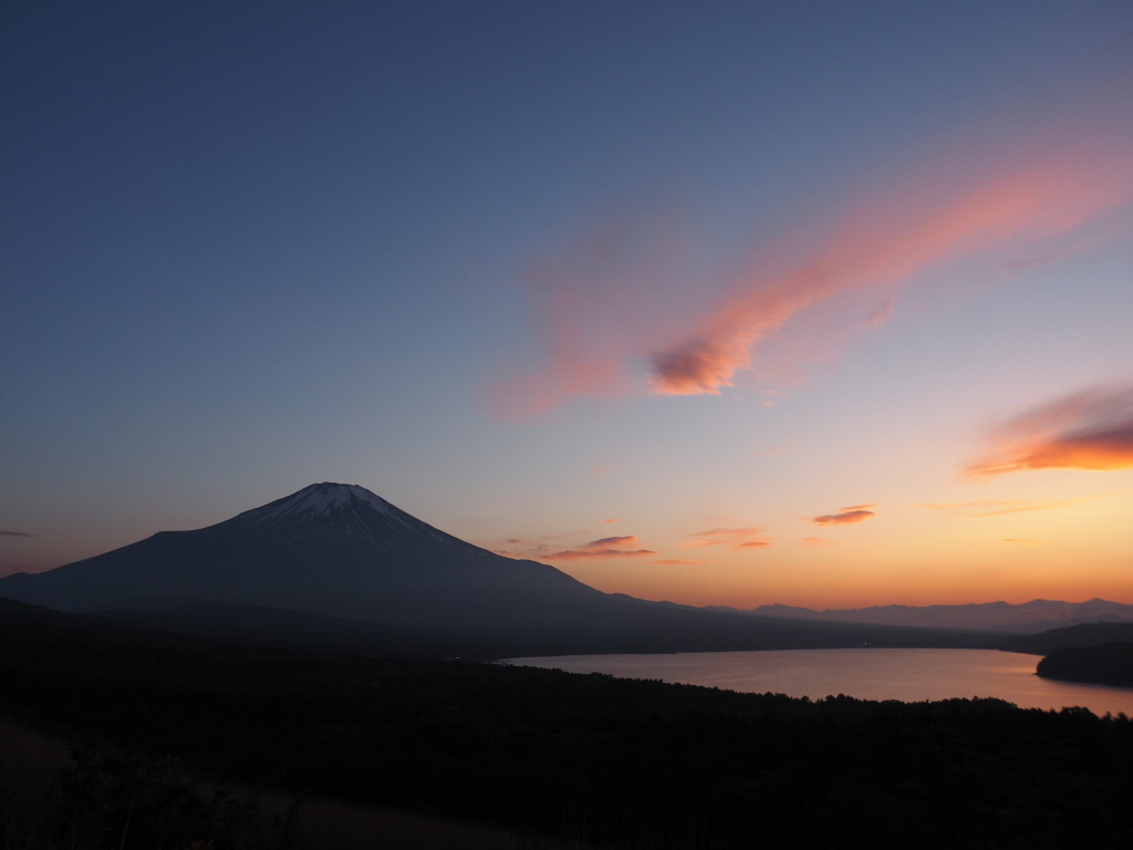 5/22 �[�Ă��̕x�m�R