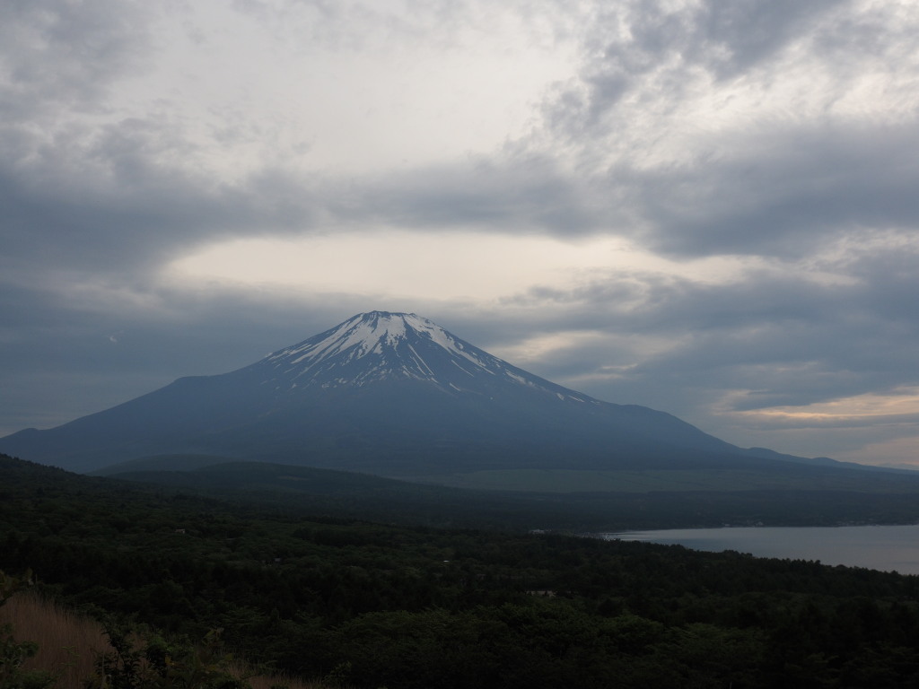 5/23 �P�_�̕x�m�R