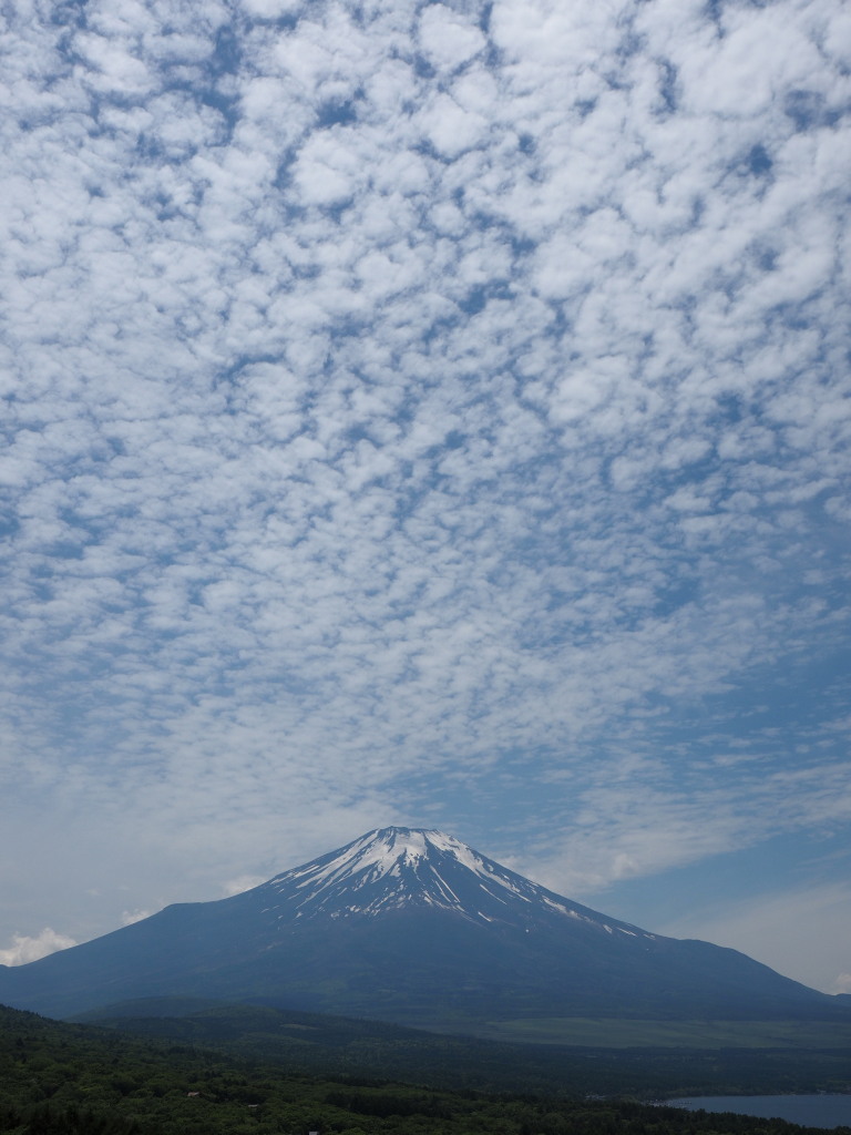 5/24 ���낱�_�ƕx�m�R