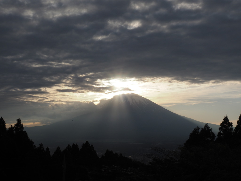 5/24 �_�̒��̃_�C��