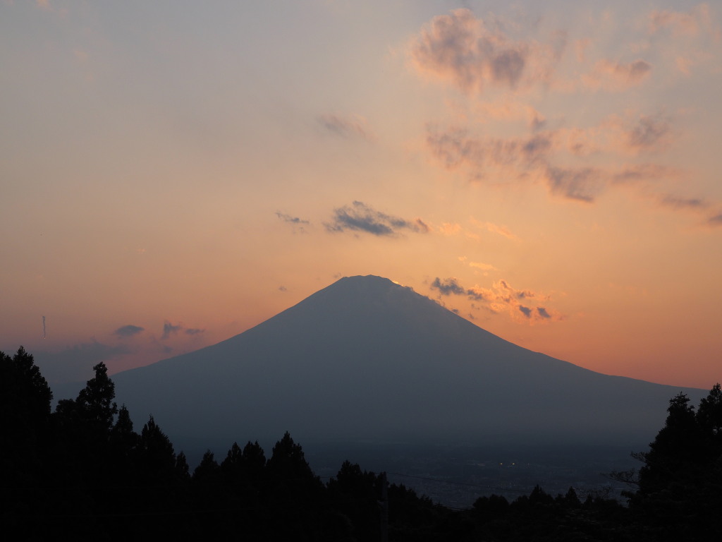 5/26 �[�Ă��̕x�m�R