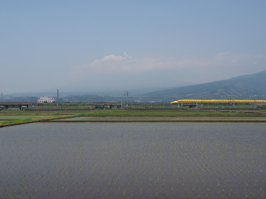 5/27 �h�N�^�[�C�G���[