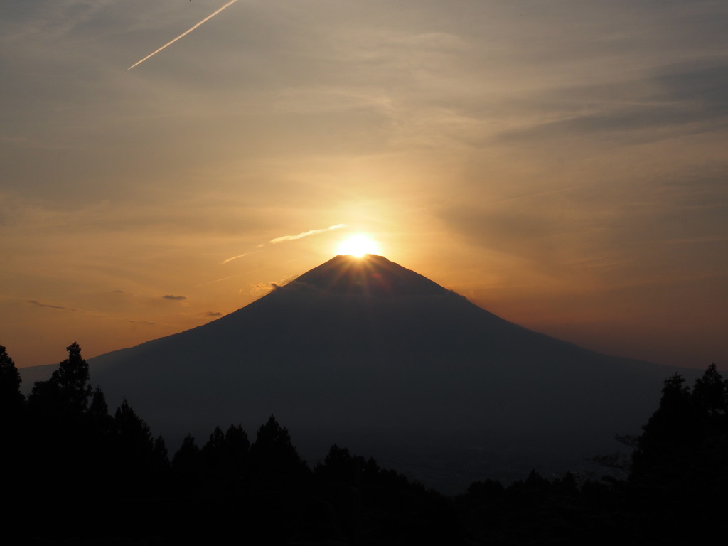 5/27 �_�C�������h�x�m(2)