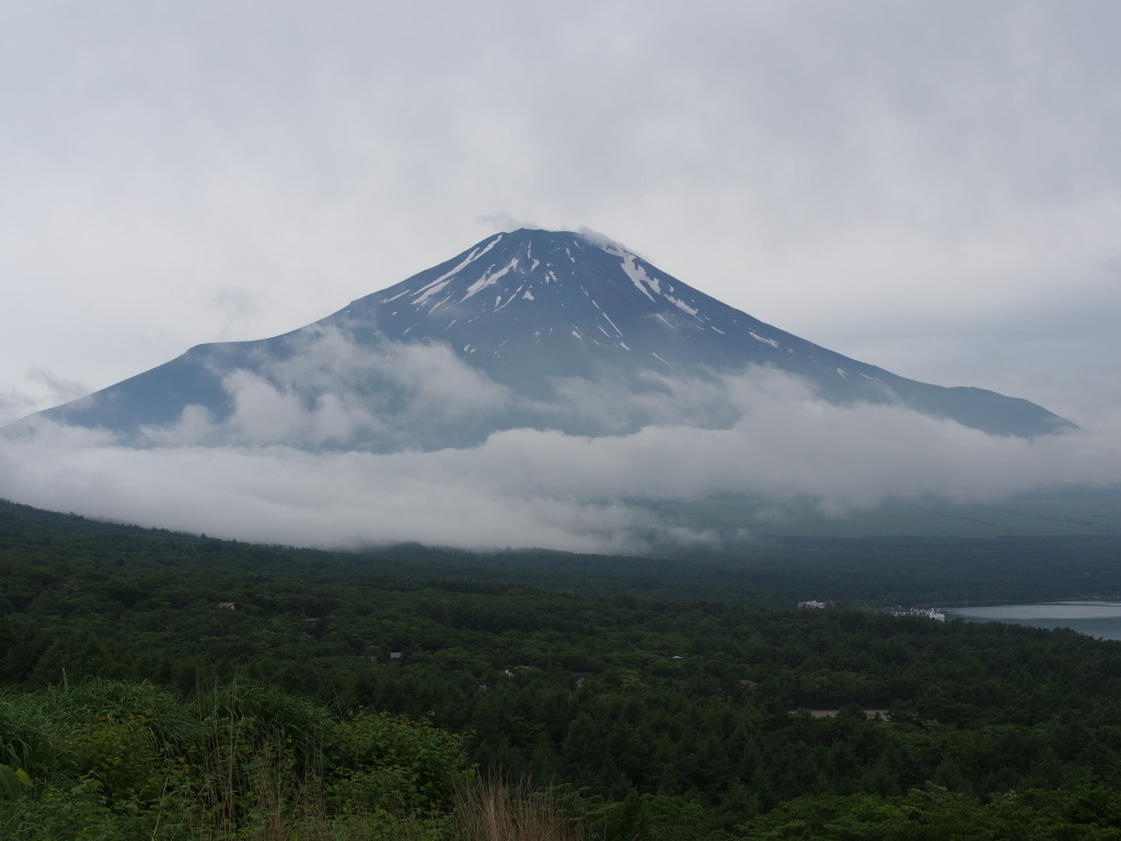 6/9 �~�J����̕x�m�R