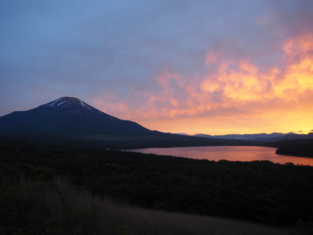 6/9 �[�Ă��̕x�m�R