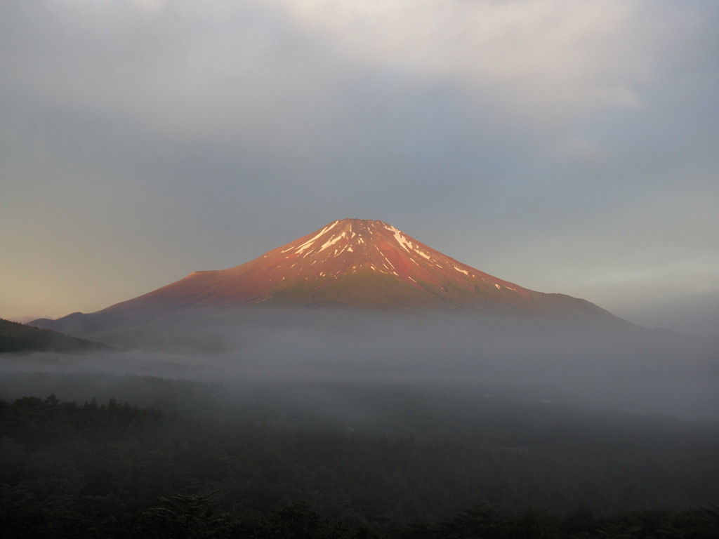 6/10 �_�C�Ɛԕx�m