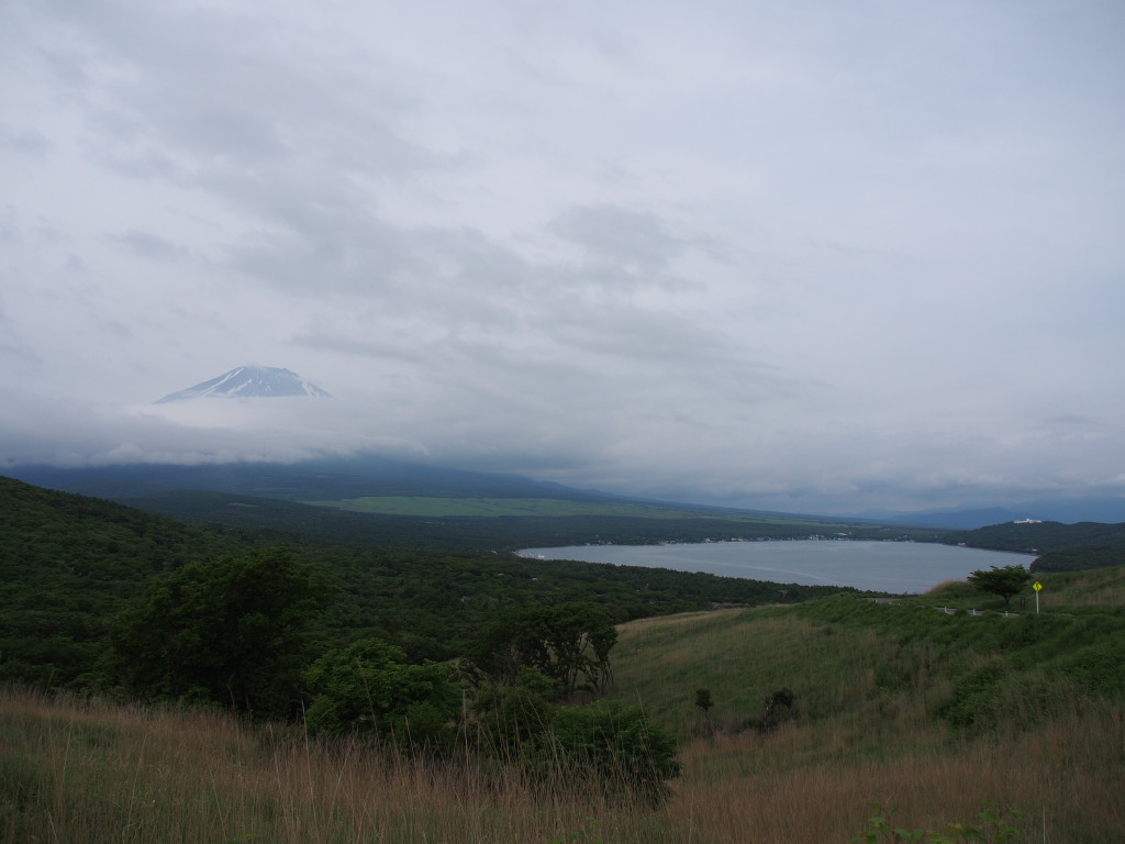 6/11 �V�΂̎R����