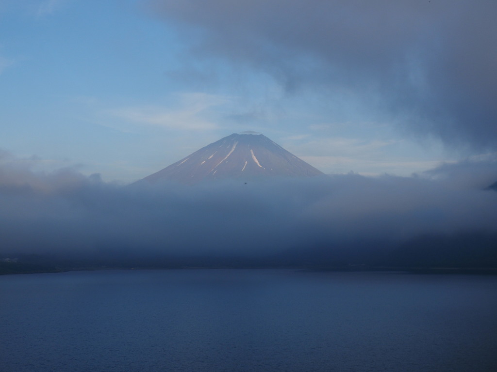 6/12 ��u�̕x�m�R